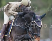 Vizzini Lismeen Lancer TosTour 2013- S4 6892 : Arezzo Equestrian Centre, Lismeen Lancer, Toscana Tour 2013, Vizzini Lucia, foto di Stefano Secchi ©